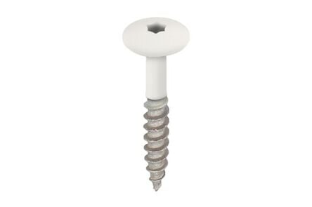Keralit 2890 torx schroef 32mm RAL 9016 wit