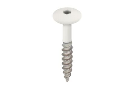 Keralit 2890 torx schroef 32mm RAL 9016 wit