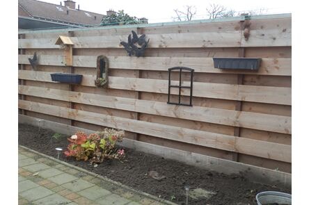 douglas plank ruw gedroogd  32x200x5000