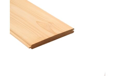 douglas vellingdeel gedroogd geschaafd geploegd 22x150x4000