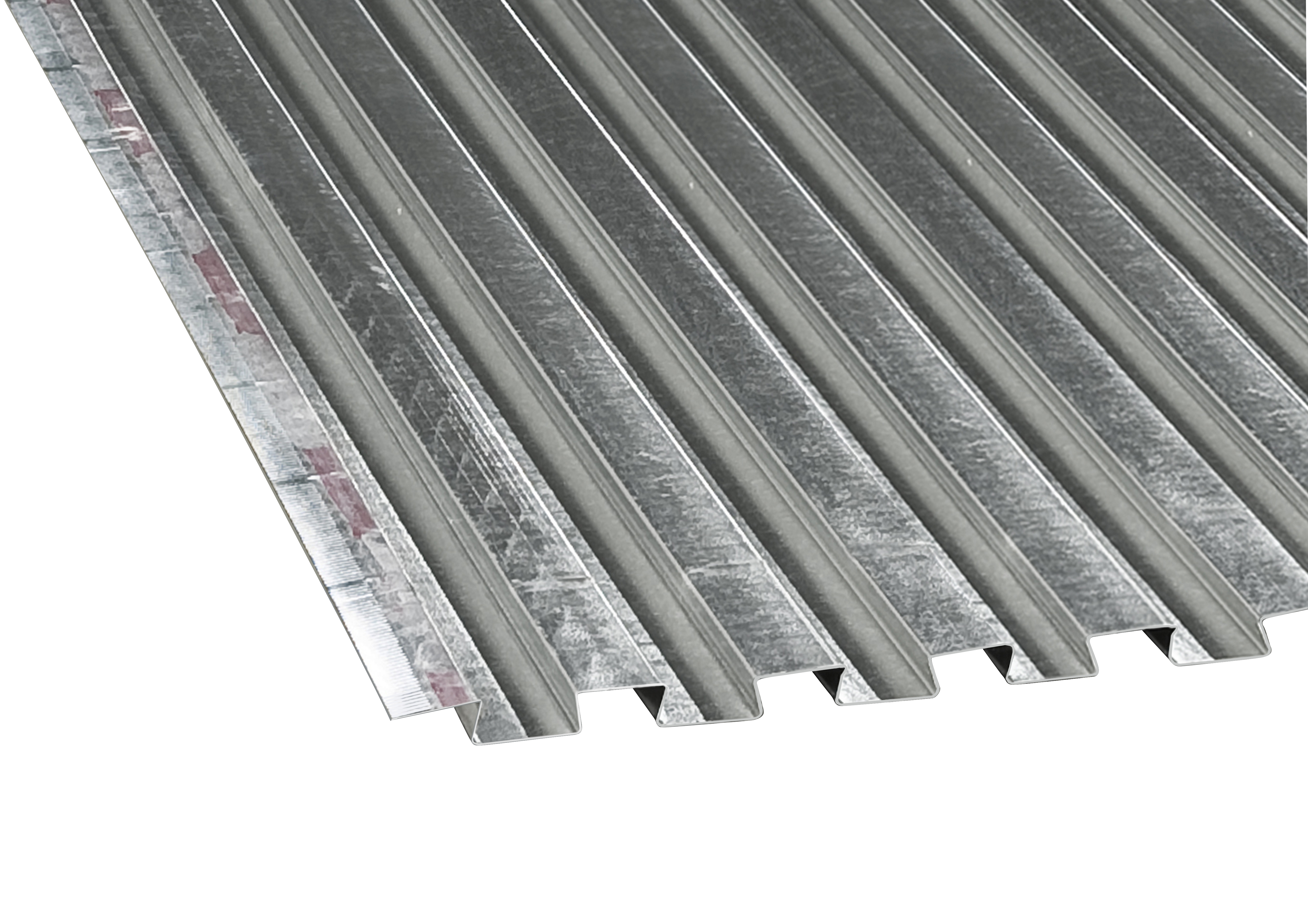 zwaluwplaatstaart.jpg zwaluwplaatstaart.jpg