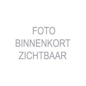 Zagen